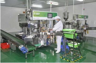 爱护工厂参观之旅 以匠心与品质，铸就皮革制品的卓越承诺